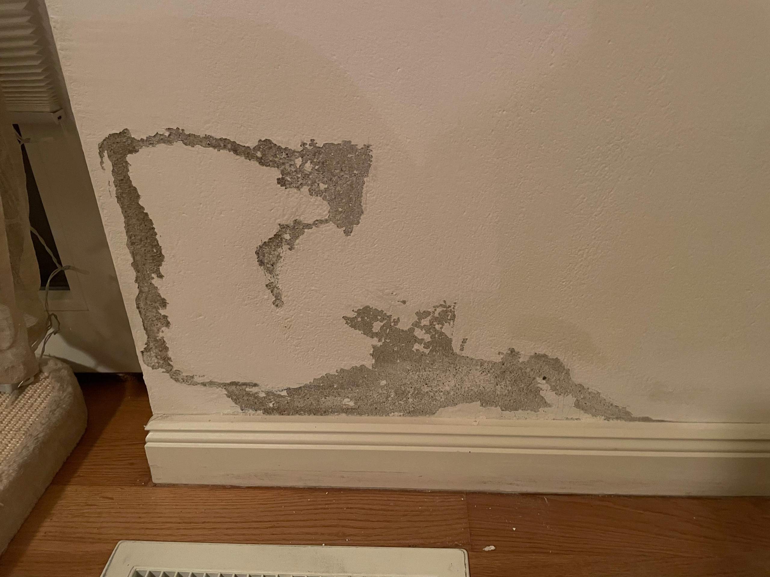 Warum löst sich der Putz? (Wohnung, heimwerken, Wand)