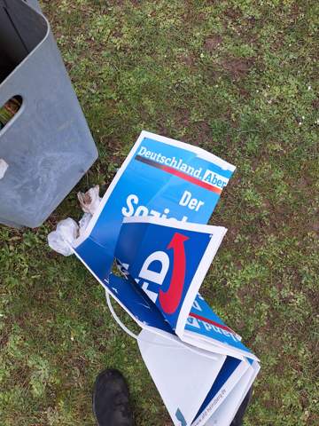 Bild zum Beitrag