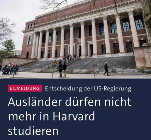 Bild zum Beitrag