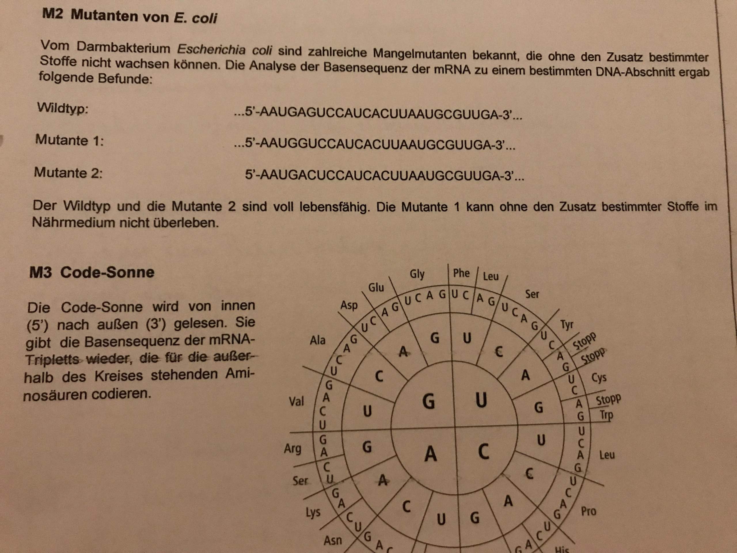 Warum pseudowildtyp? (Biologie,