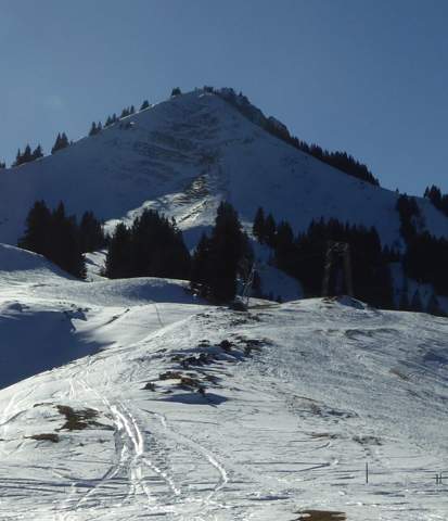 Bild zum Beitrag