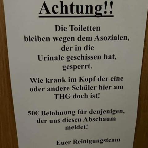 Bild zum Beitrag