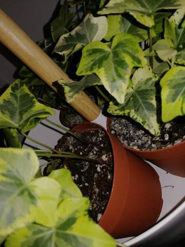 Ich sehe keine zukunft mit meinem freund Ich sehe keine zukunft mit meinem freund