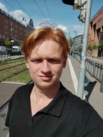 Bild zum Beitrag