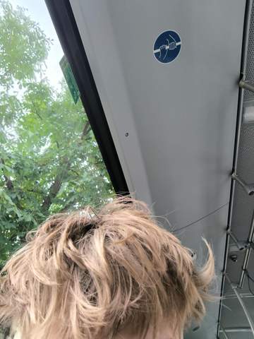 Bild zum Beitrag