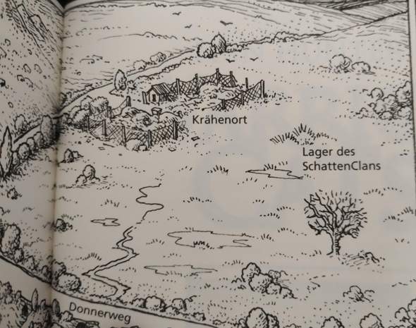 Bild zum Beitrag