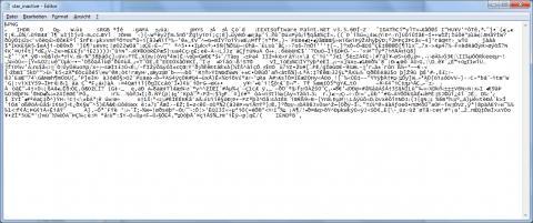 So zeigt der Windows-Editor ein von mir gewähltes Bild an... Eines von den ultra wenigen verständlichen Sachen ist die Textpassage "Paint.NET v3.5." - (Computer, PC, Internet)