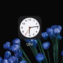Grün
Uhr
Schwarz
- (Handy, Technik, Apple)