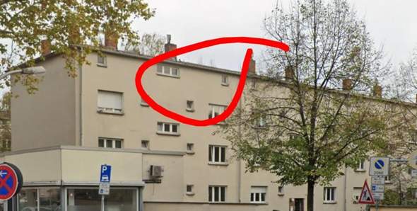 Bild zum Beitrag