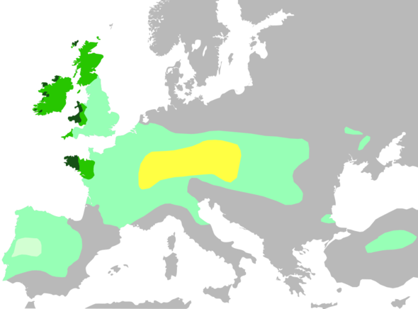 Kelten in Europa - (Sprache, Geschichte, Keltisch)