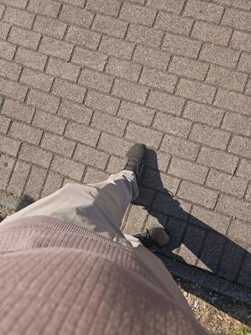 Bild zum Beitrag
