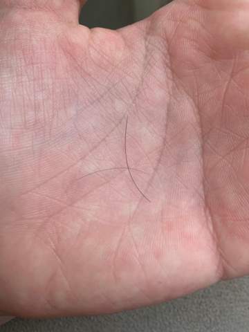 warum sind einige haare dicker als