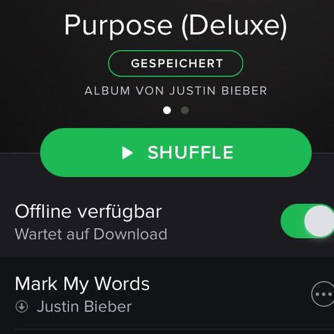 Da steht halt wartet auf Download aber es Passiert nichts - (Musik, Music, Spotify)