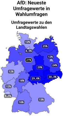 Bild zum Beitrag