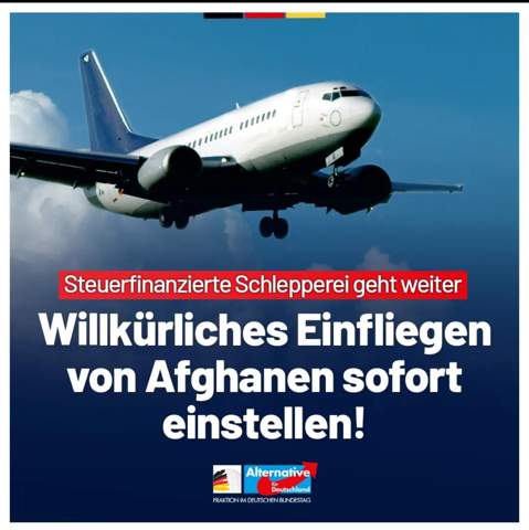 Bild zum Beitrag