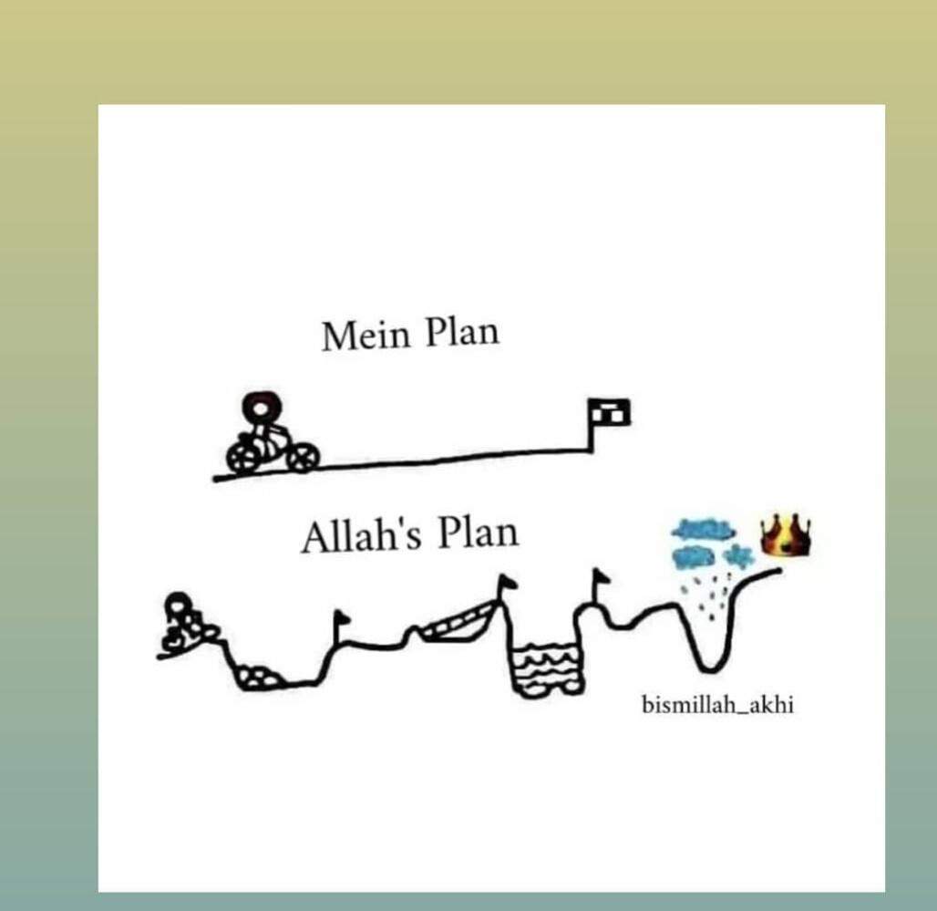 Warum verläuft mein Leben nicht nach Plan? (Schule, Psychologie, Menschen)