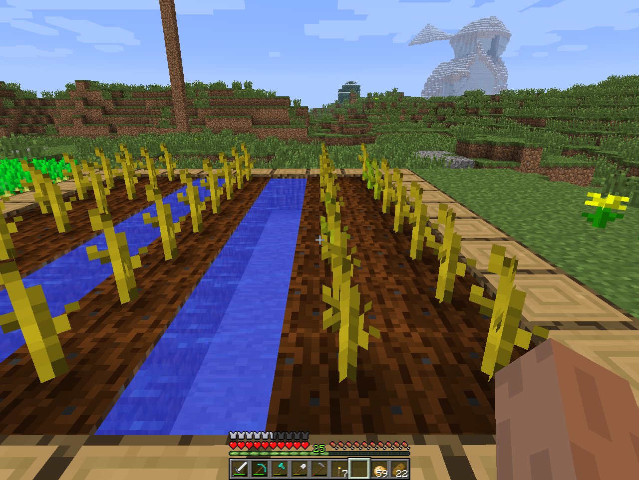 Warum wachsen keine Kürbsise in MC? (Minecraft, Wasser 