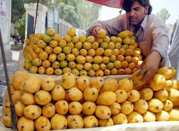 Warum werden die Mangos so grün verkauft?