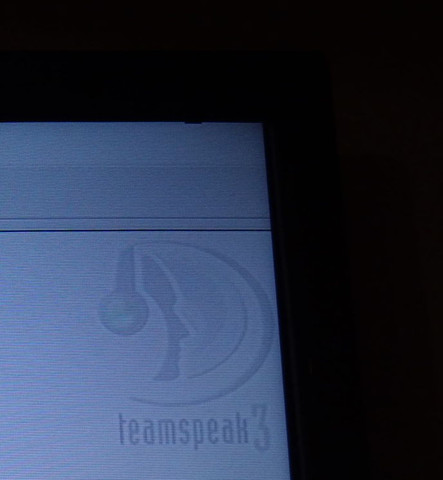 TS3 Oben rechts in Vollbild - (PC, Bildschirm)