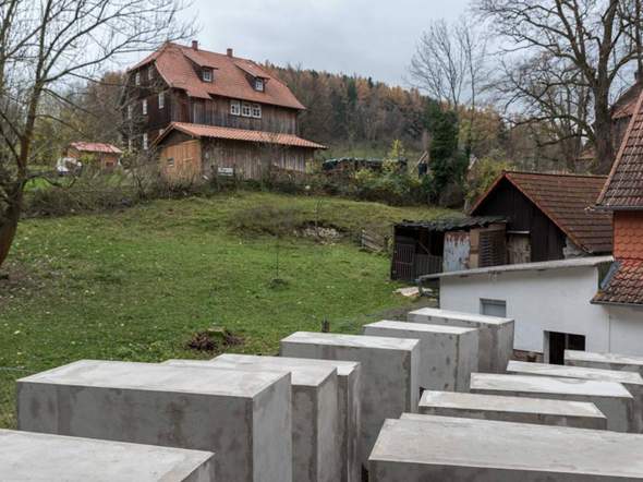 Bild zum Beitrag