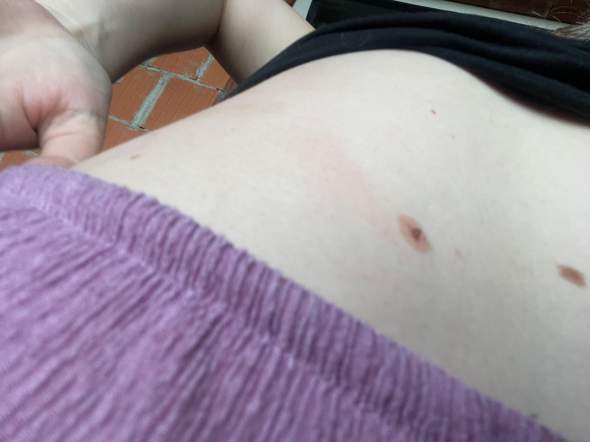 Bild zum Beitrag