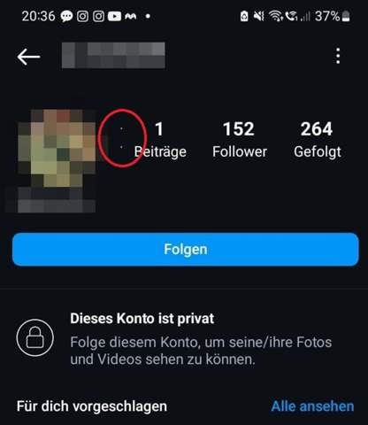 Bild zum Beitrag