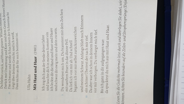 was bedeuten tierische metaphern in der