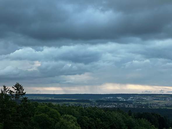 Bild zum Beitrag