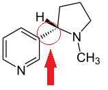 Strukturformel von Nikotin - (Chemie, Strukturformel)