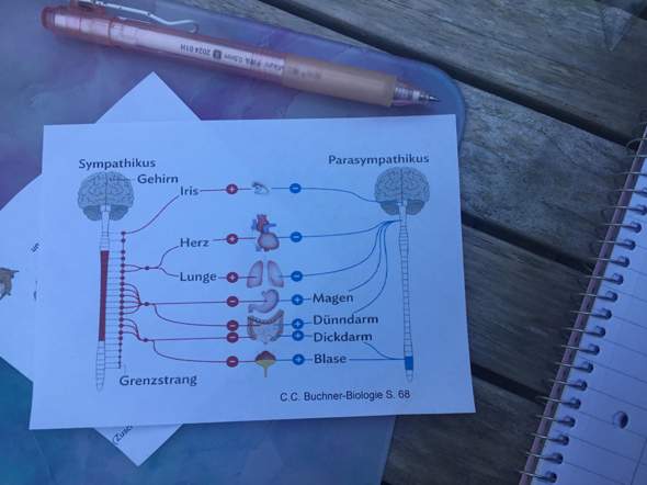 Bild zum Beitrag