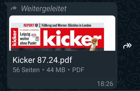 Bild zum Beitrag