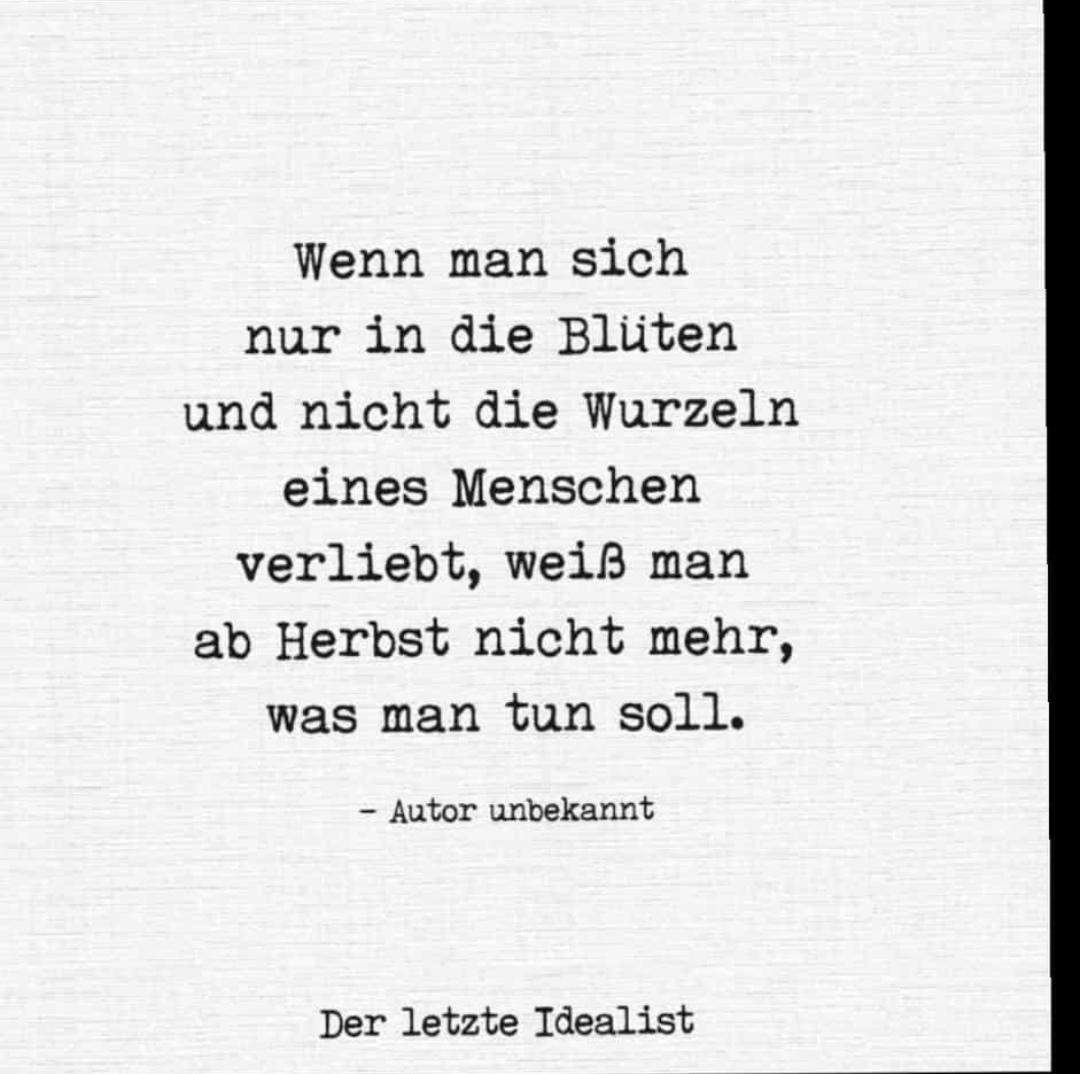 Was bedeutet der Spruch? (Liebe, verliebtheit)