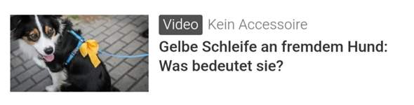 Bild zum Beitrag