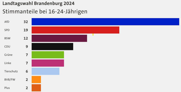 Bild zum Beitrag