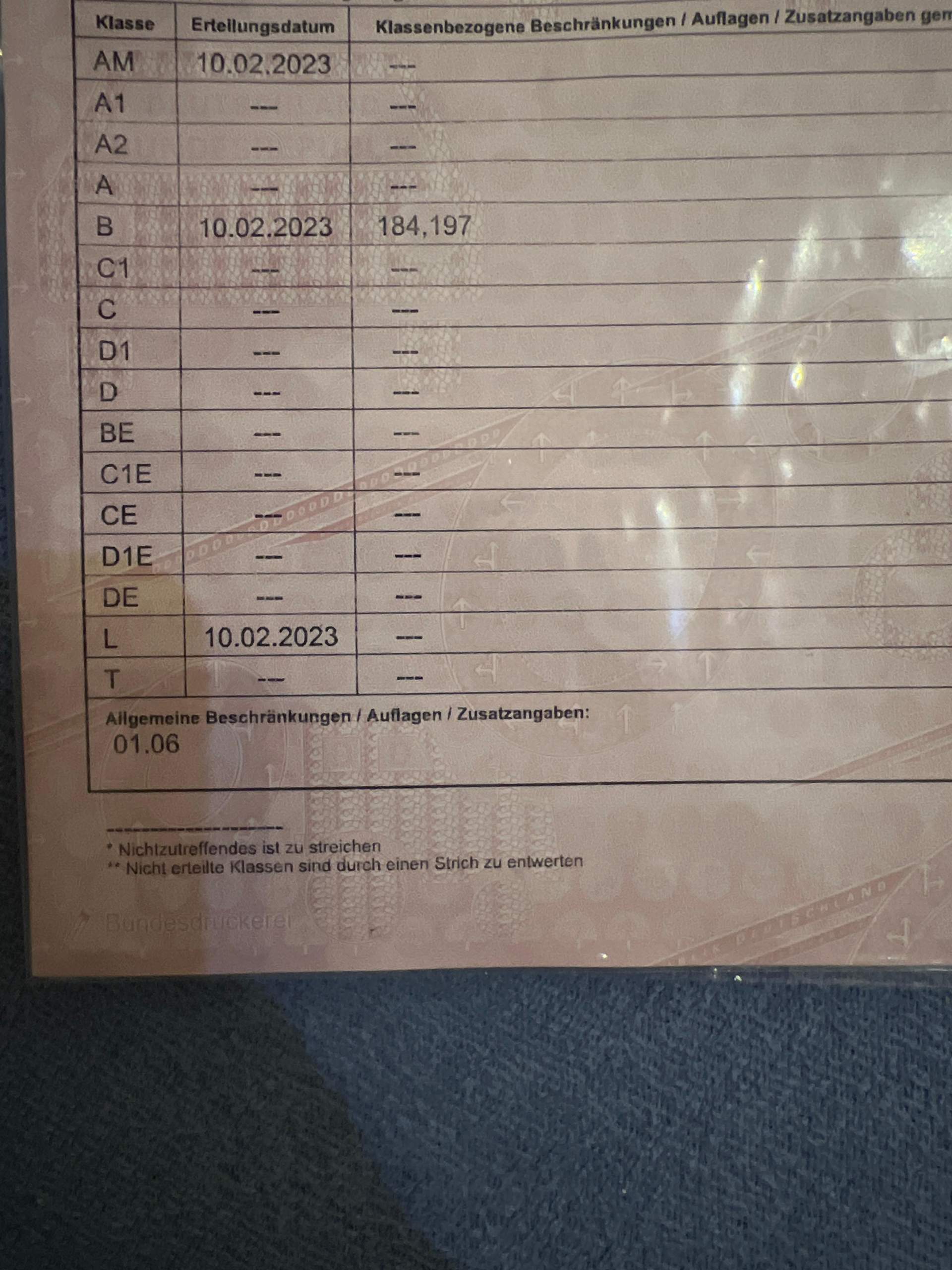 Was bedeutet die Zahl 184 auf meiner VNF? (Führerschein