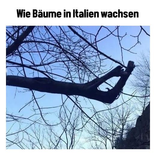 Was Bedeutet Auf Italienisch Hallo