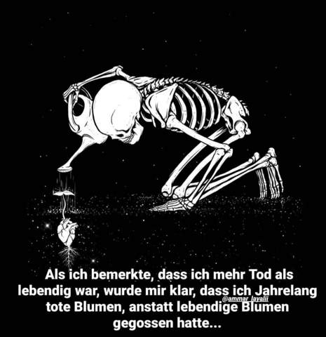 Was Bedeutet Dieses Bild Spruch Spruche Nachdenken