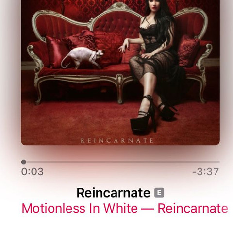 Neben dem Wort Reincarnate. - (Musik, Apple, Apple Music)