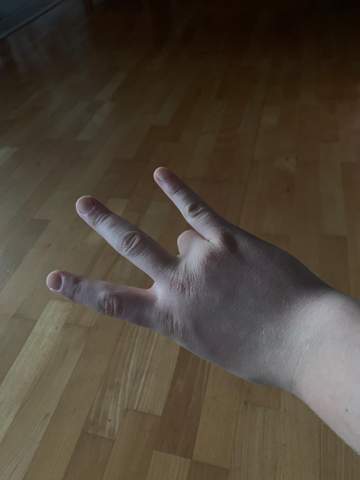 Bild zum Beitrag