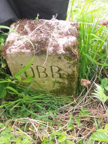 Bild zum Beitrag