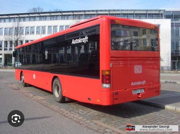 Bild zum Beitrag