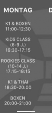 Was bedeutet K1? (Kampfsport)