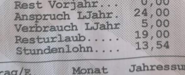Bild zum Beitrag