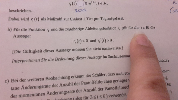 Was bedeutet TeR? (Mathe, Mathematik)