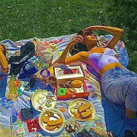 Was braucht man alles für ein Picknick alleine?