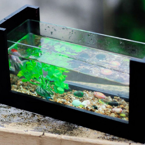 Was Braucht So Ein Aquarium Fische