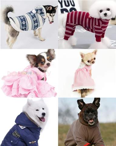 Was denkst du über Hundekleidung?