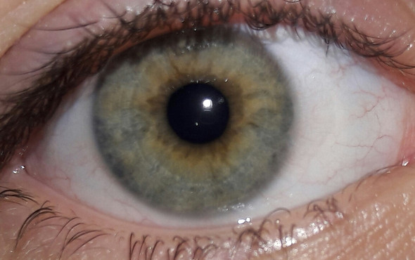 Daaa - (Augen, Augenfarbe)