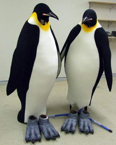 Was denkt ihr über diese Pinguin Kostüme?
