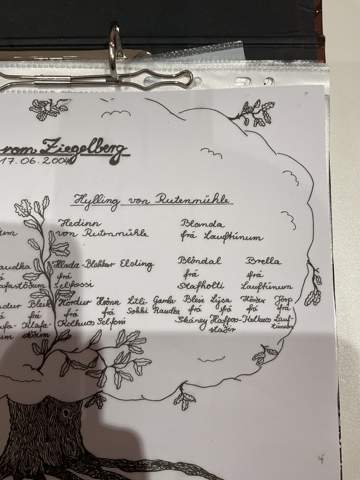 Bild zum Beitrag
